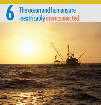 Ocean Literacy Principle #6