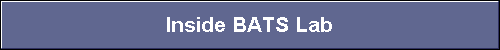  Inside BATS Lab 
