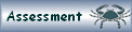 Assessment