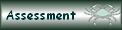 Assessment