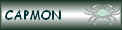 CAPMON 