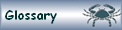 Glossary