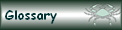 Glossary