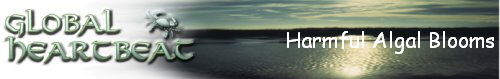 Harmful Algal Blooms