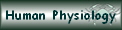 Human Physiology