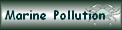 Marine Pollution