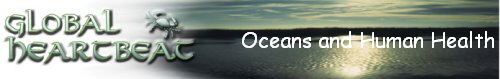 Oceans and Human Health