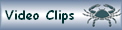 Video Clips