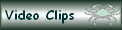 Video Clips
