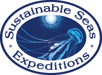Sustainable Seas Logo